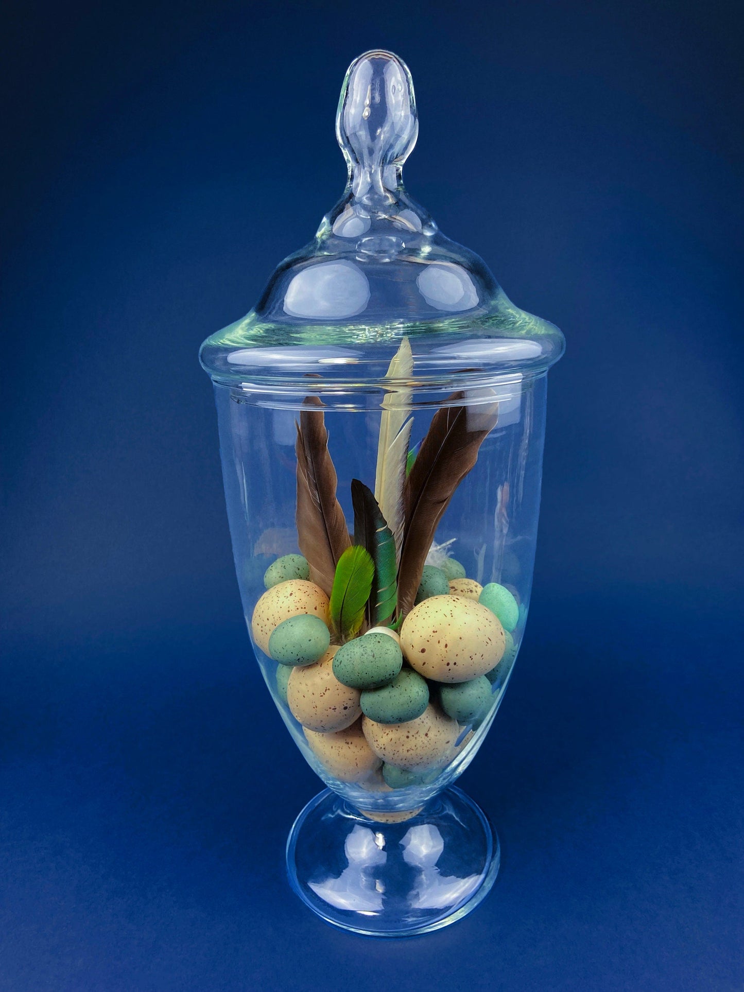 Large Lidded Apothecary with Eggs and Feathers. Alternative Spring/Easter Decor.  Footed, Glass Storage Jar. Table Centerpiece. Shabby Chic.