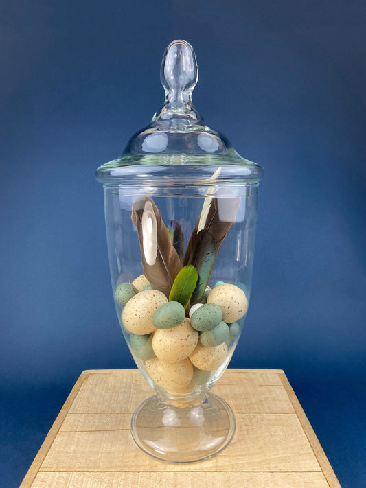 Large Lidded Apothecary with Eggs and Feathers. Alternative Spring/Easter Decor.  Footed, Glass Storage Jar. Table Centerpiece. Shabby Chic.