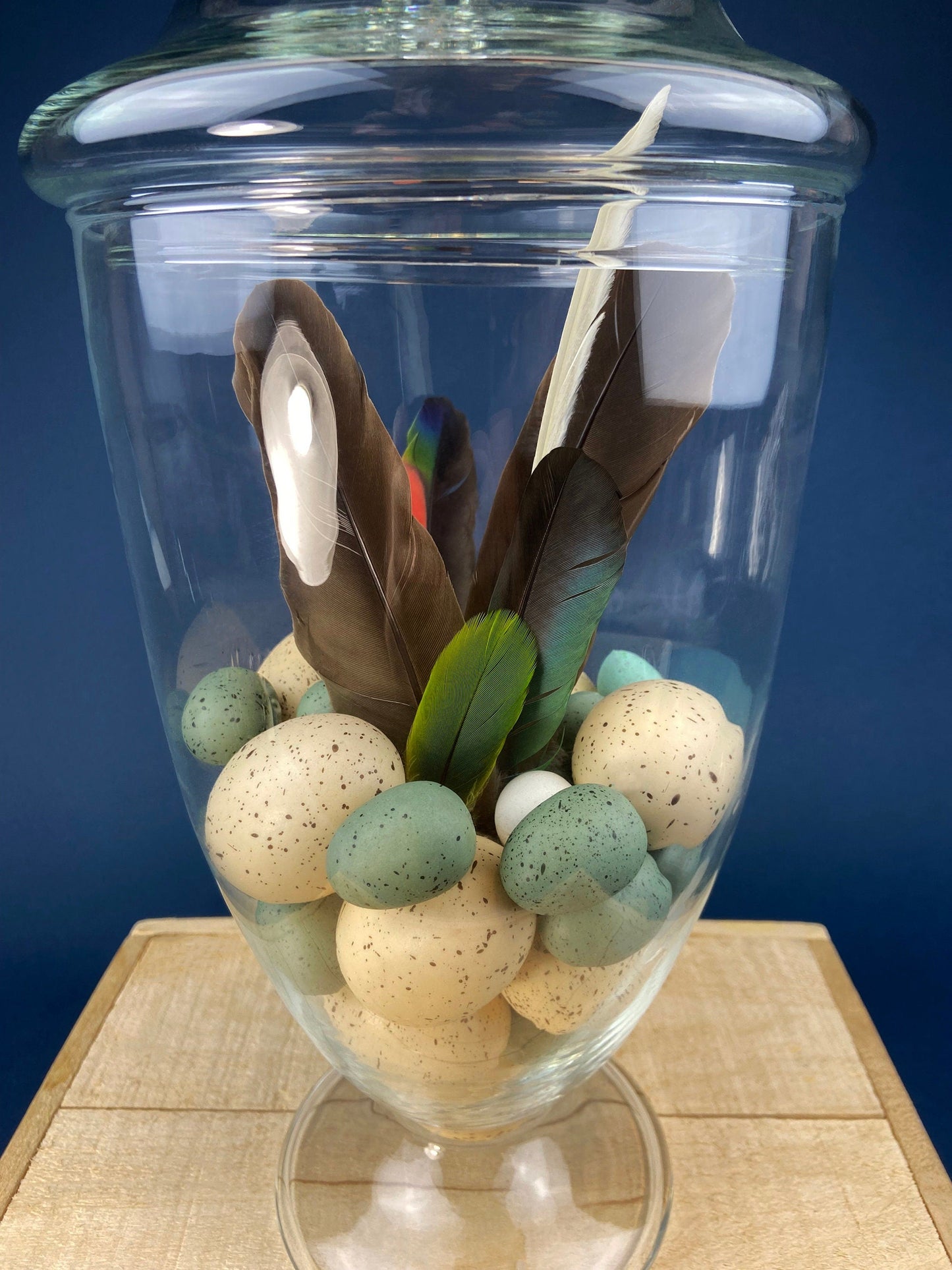 Large Lidded Apothecary with Eggs and Feathers. Alternative Spring/Easter Decor.  Footed, Glass Storage Jar. Table Centerpiece. Shabby Chic.