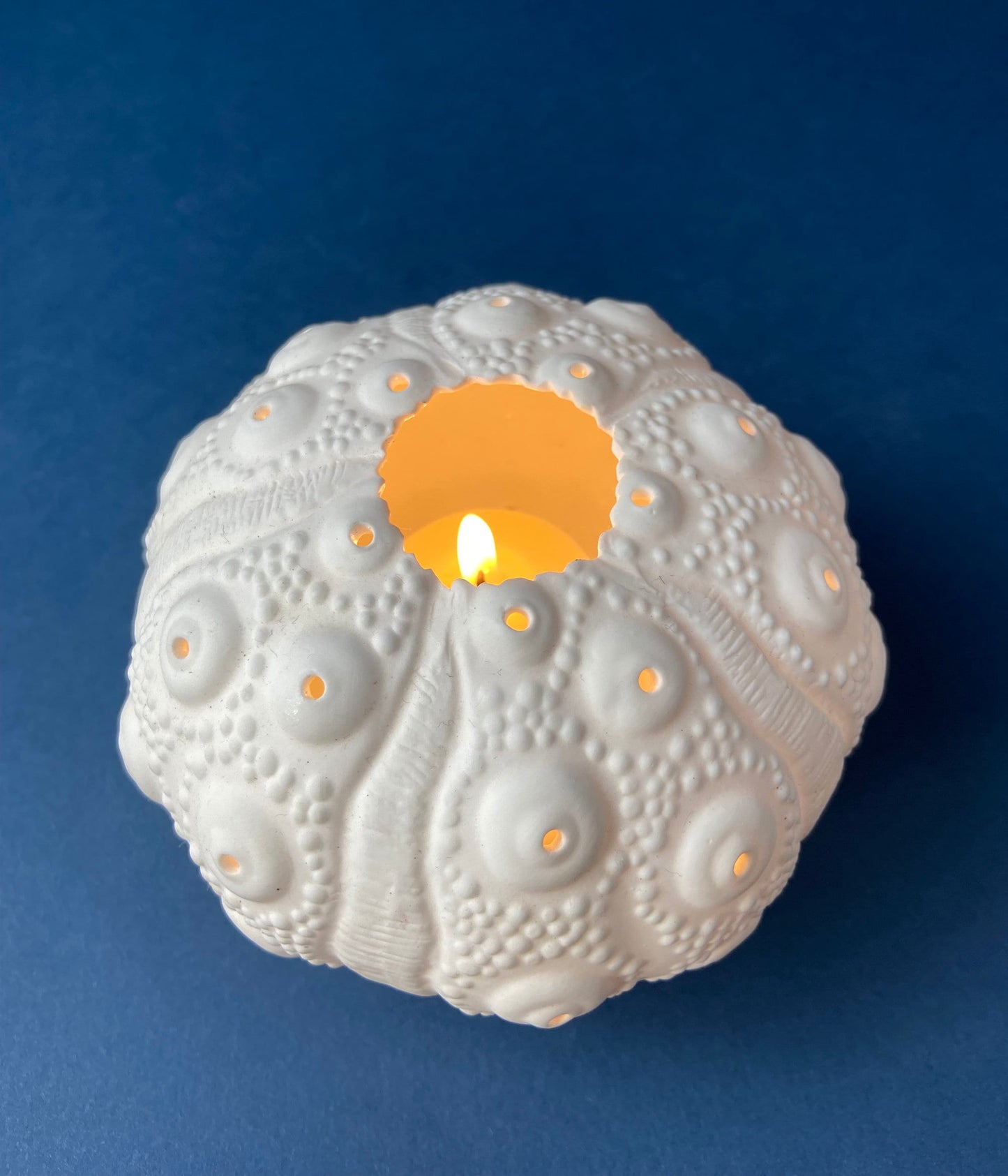 Belleek Cup and Saucer.  Sea Shell Pattern Tea Set Made of Dainty Porcelain in Ireland.  Antique Reg 0857.