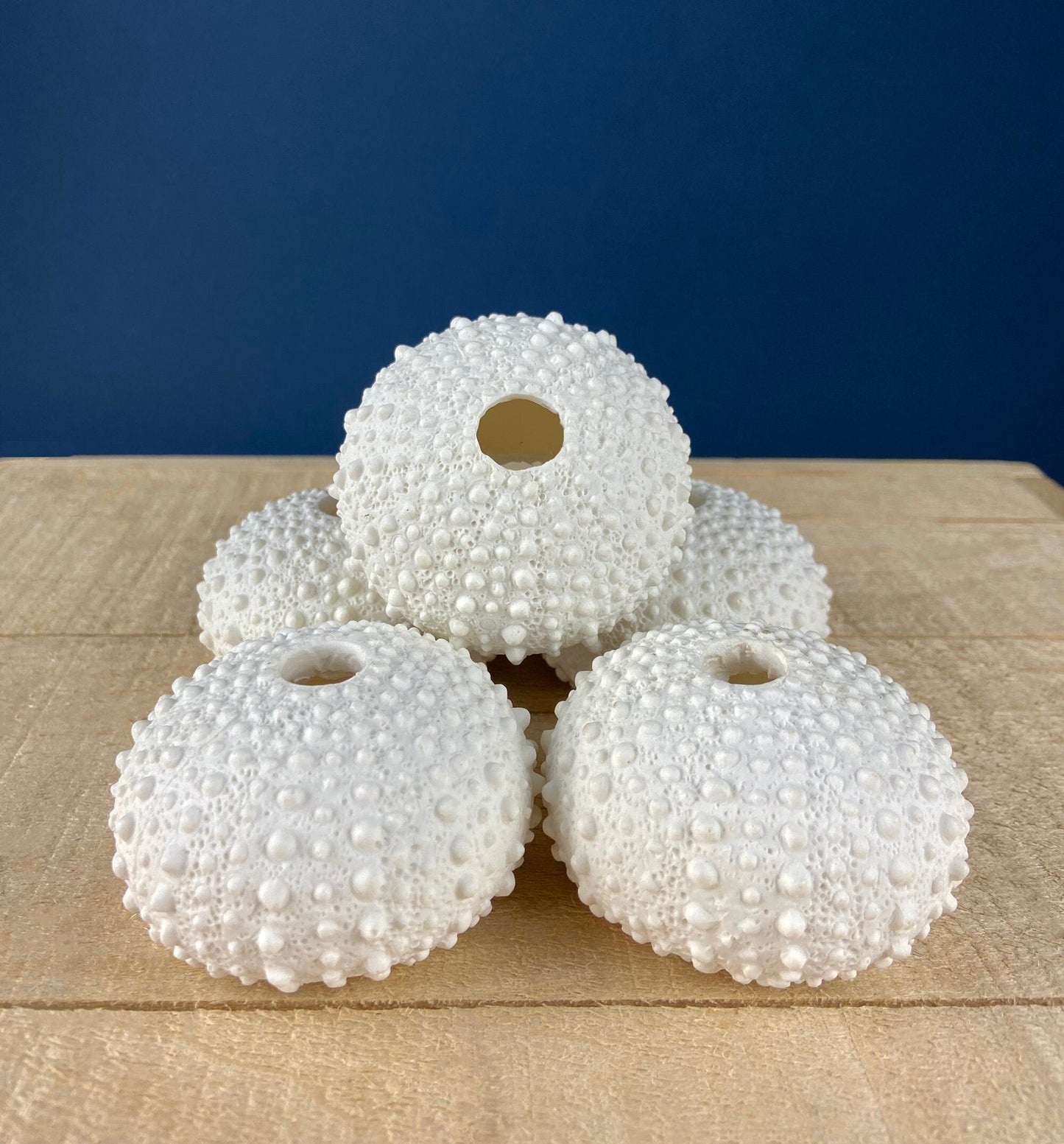 Milk Glass Sea-Urchins Creamer and Sugar.  Nautical Themed White Serving Dishes/Accessories. Set of Two. Vacation, Tropical, 2nd Home.