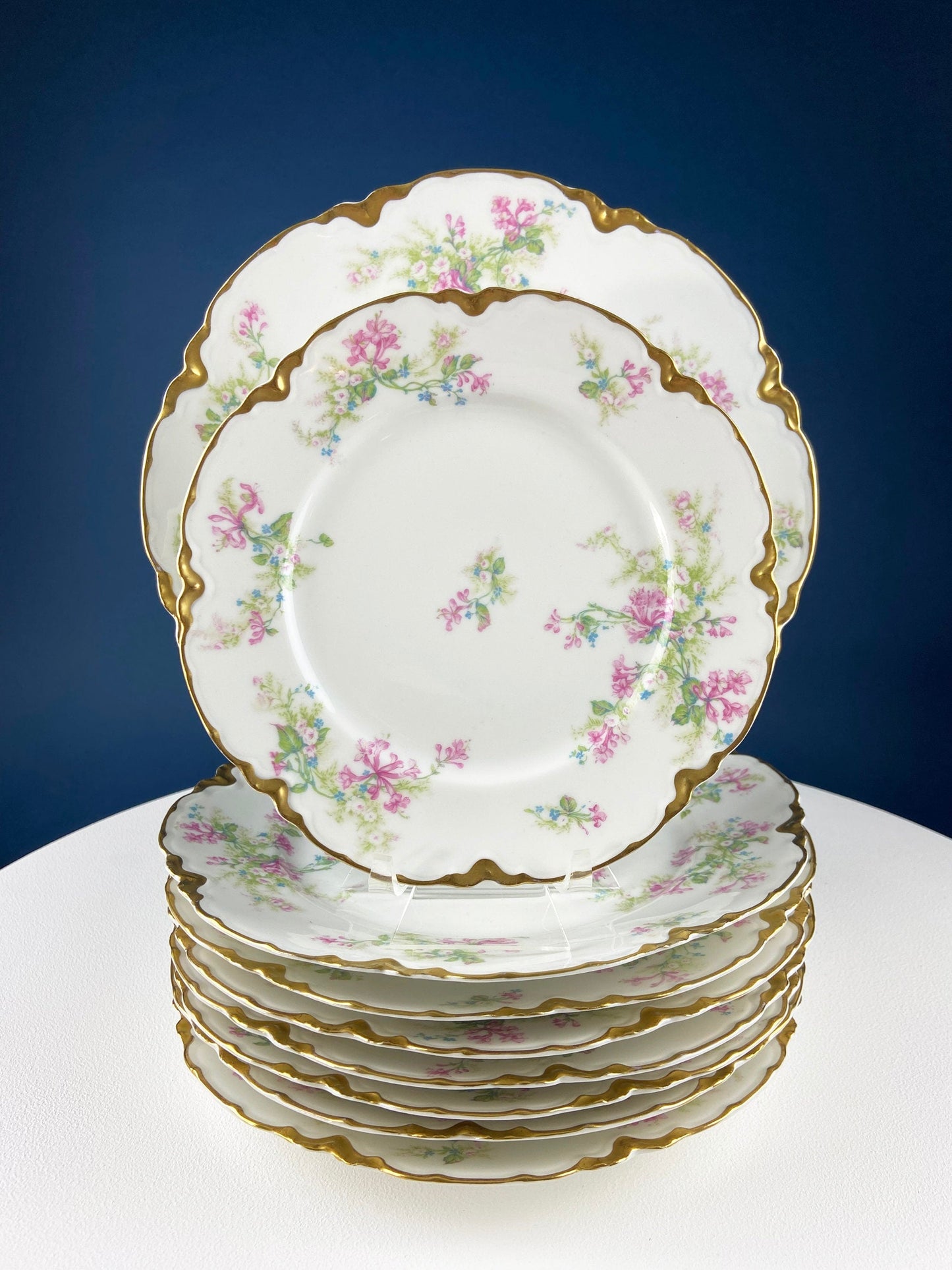 Antique Limoges Plate: Floral Roses, Indian Red Scalloped Rim