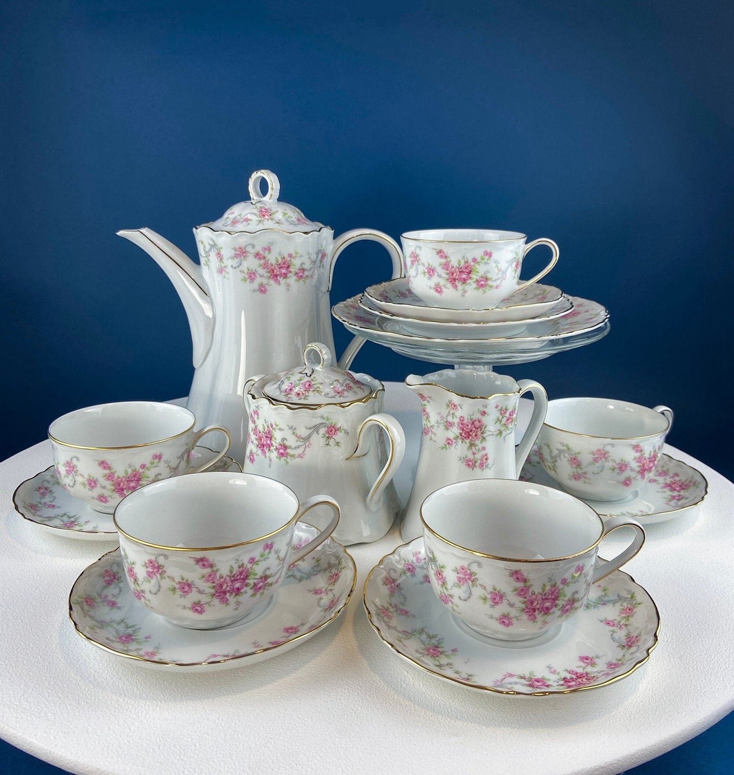 Antique Hutschenreuther Porcelain Coffee Set. Coffee or Teapot, Sugar Jar, Creamer, 2 8" Dessert Plates, & 6 Tea Cups/Saucers. Floral Motif.