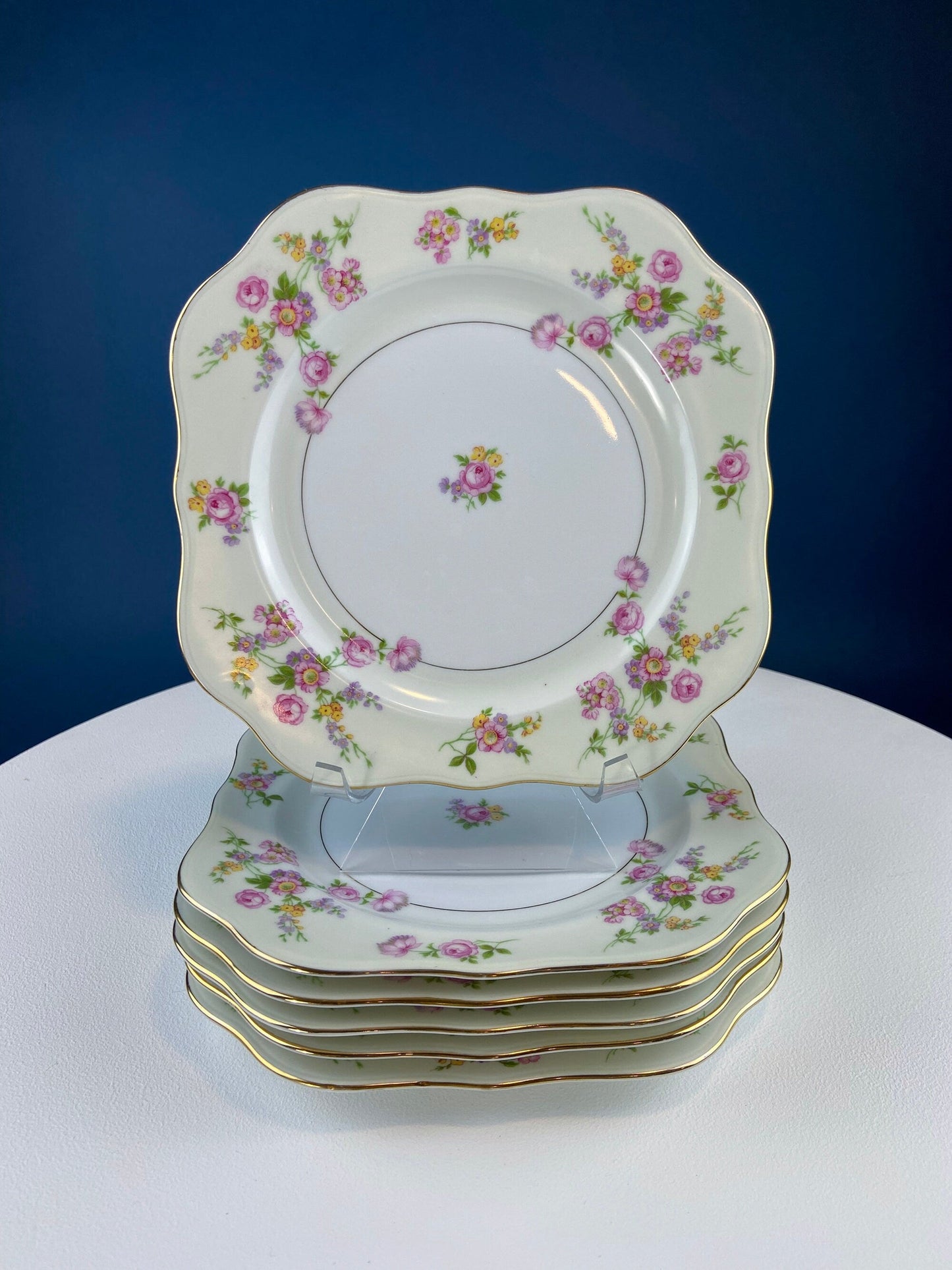 Antique Porcelain Bullion Bowls with Matching Square, 8.5" Dinner Plates. Set of 6. Flower Garlands, Sylvia by F&B Baronet China, Bohemia.