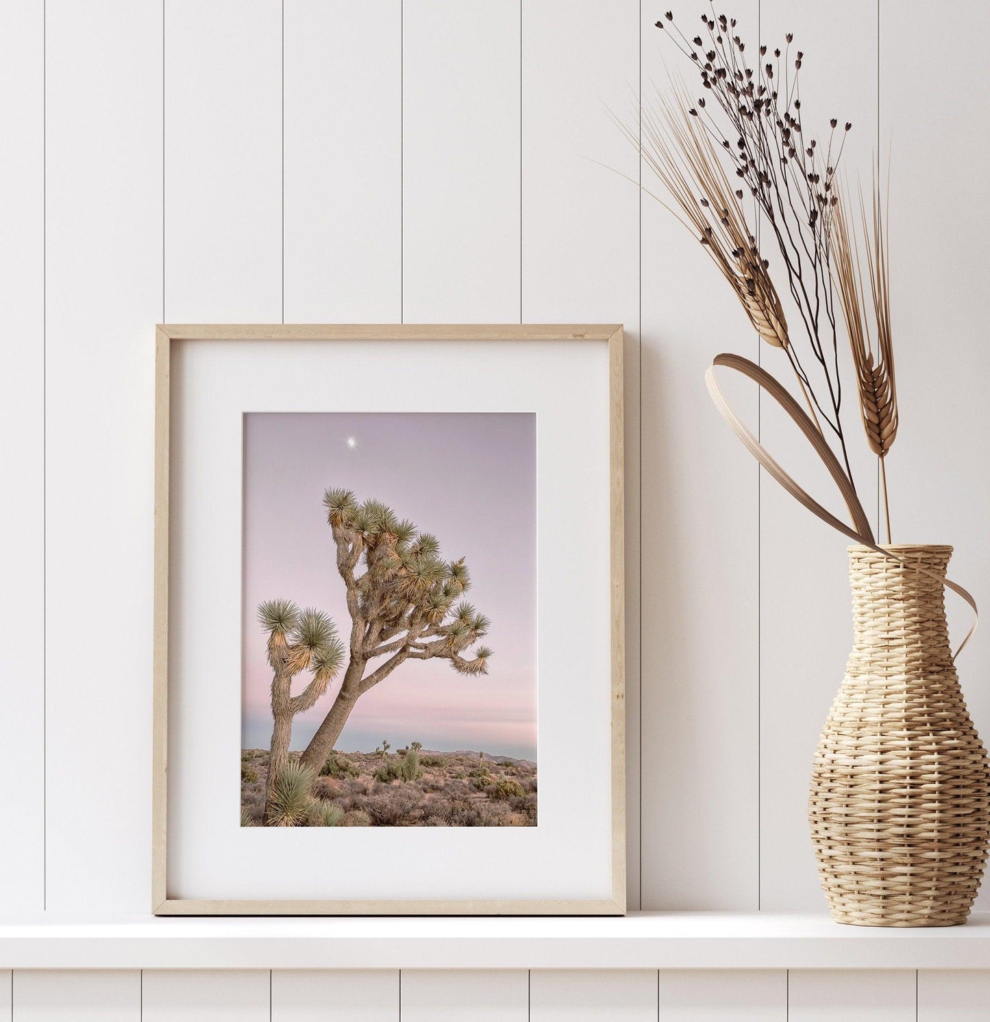 Moonlit Desert