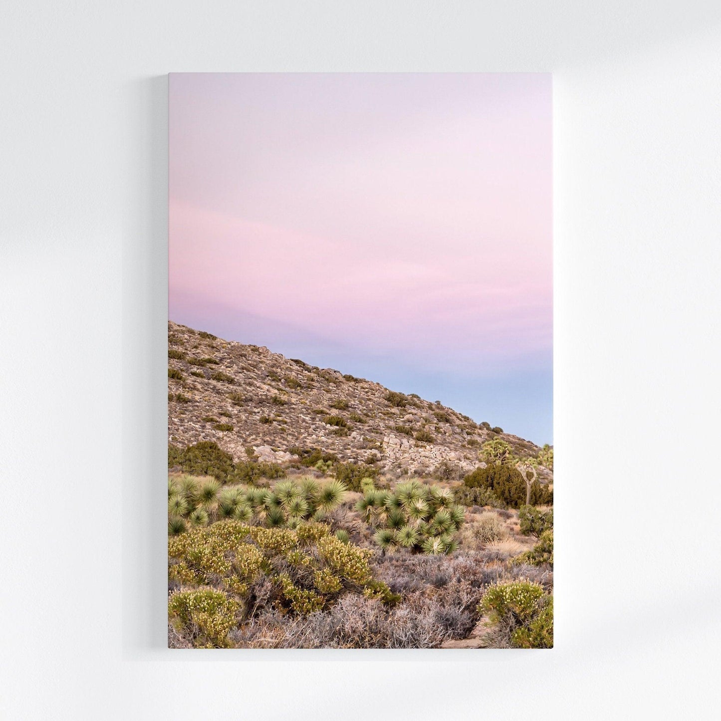 Joshua Tree Canvas Set