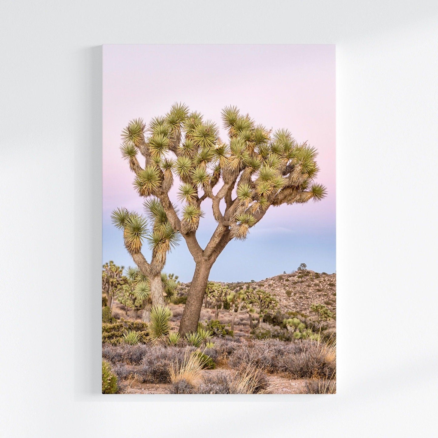 Joshua Tree Canvas Set