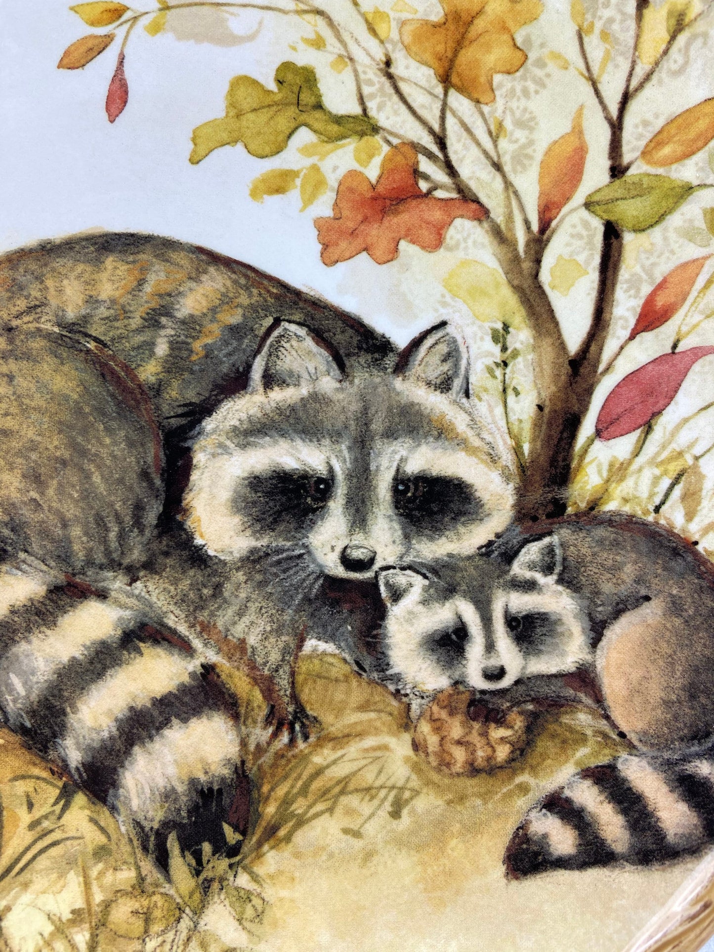 Cute Raccoon Dinner Set for One. Whimsical Plates and Mug. Kid at Heart or Grandparents' Gift for Grandkids. Fall Celebration. Cabin Decor.