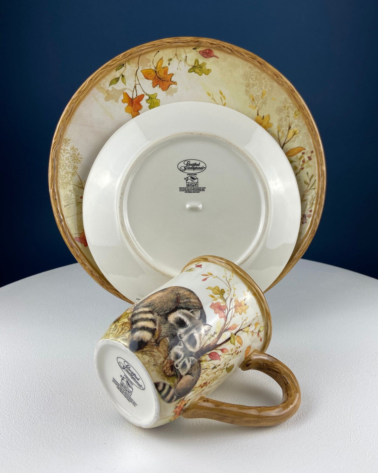 Cute Raccoon Dinner Set for One. Whimsical Plates and Mug. Kid at Heart or Grandparents' Gift for Grandkids. Fall Celebration. Cabin Decor.