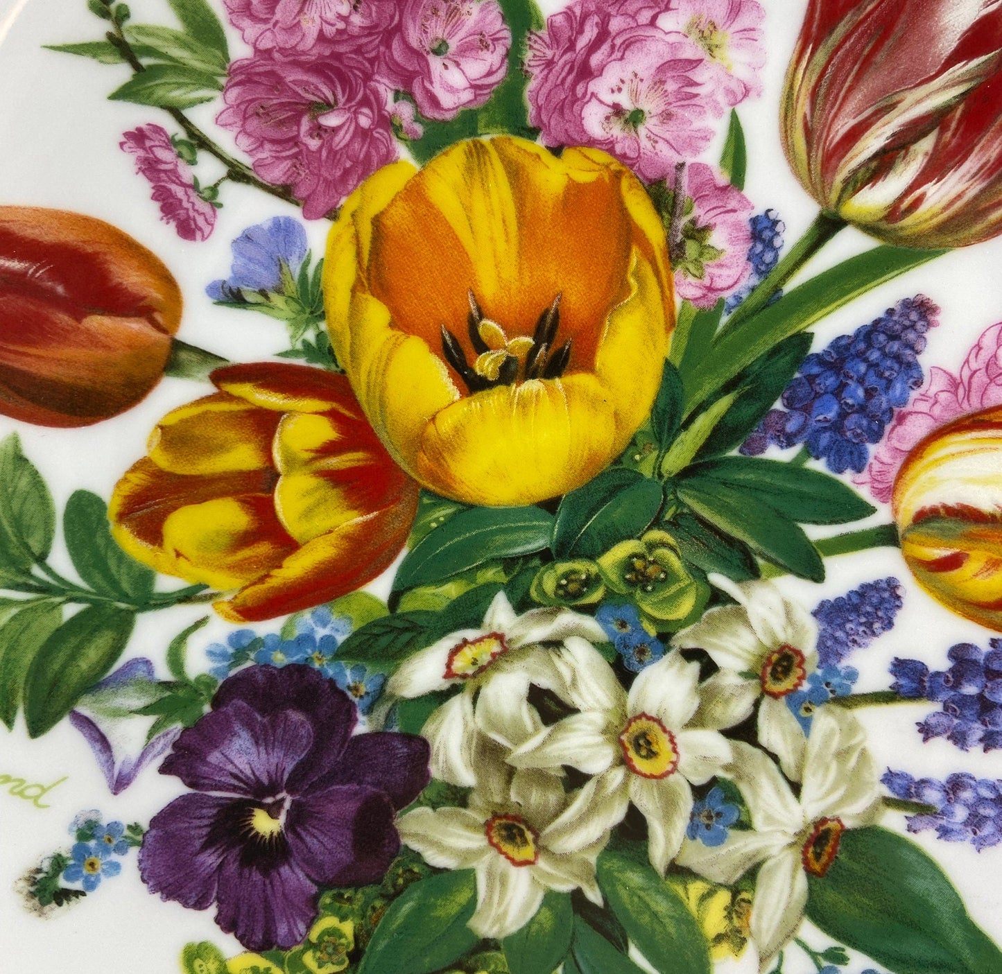 Hutschenreuther Limited Edition Wall Plate: Ursula Band Floral Art, 8"