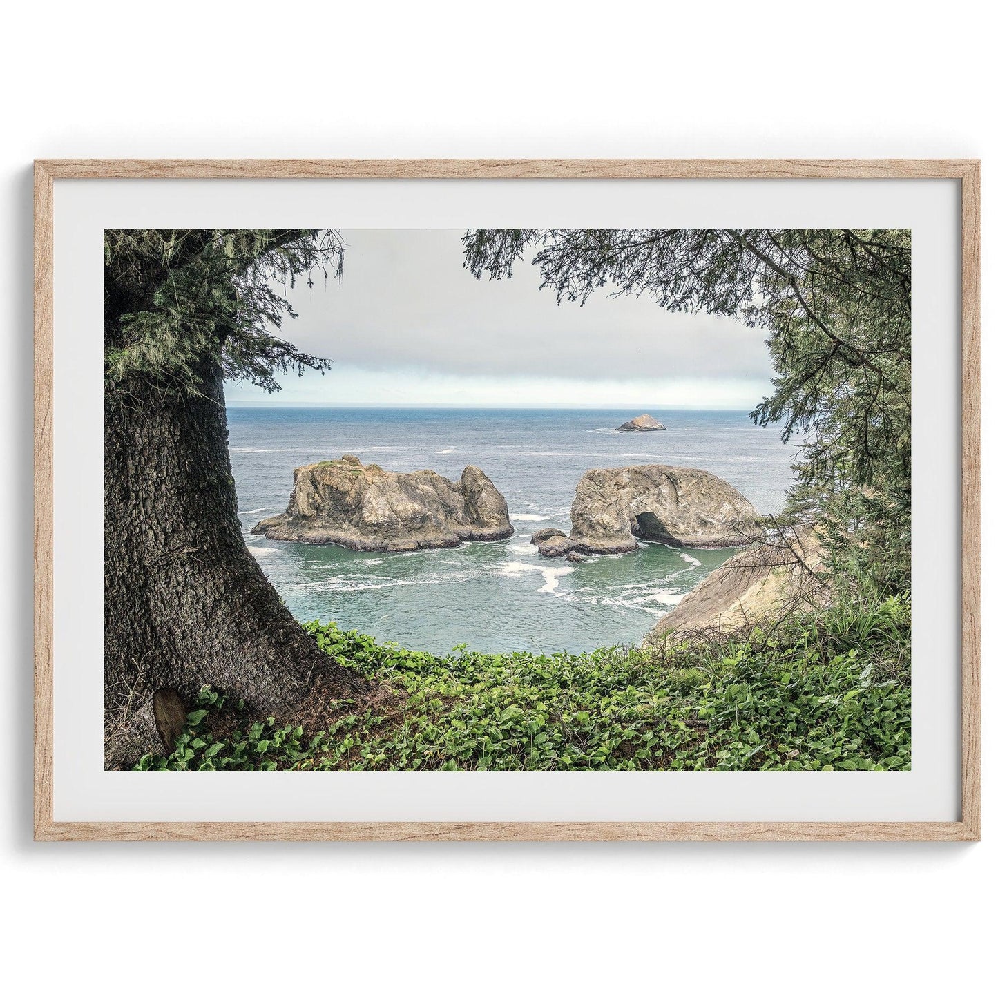 Coastal View