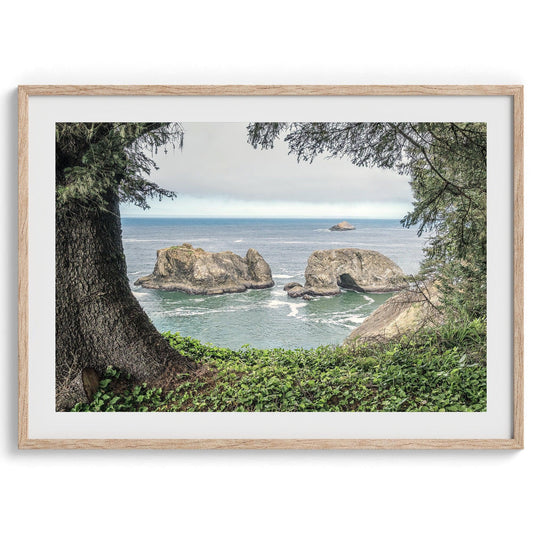 Coastal View