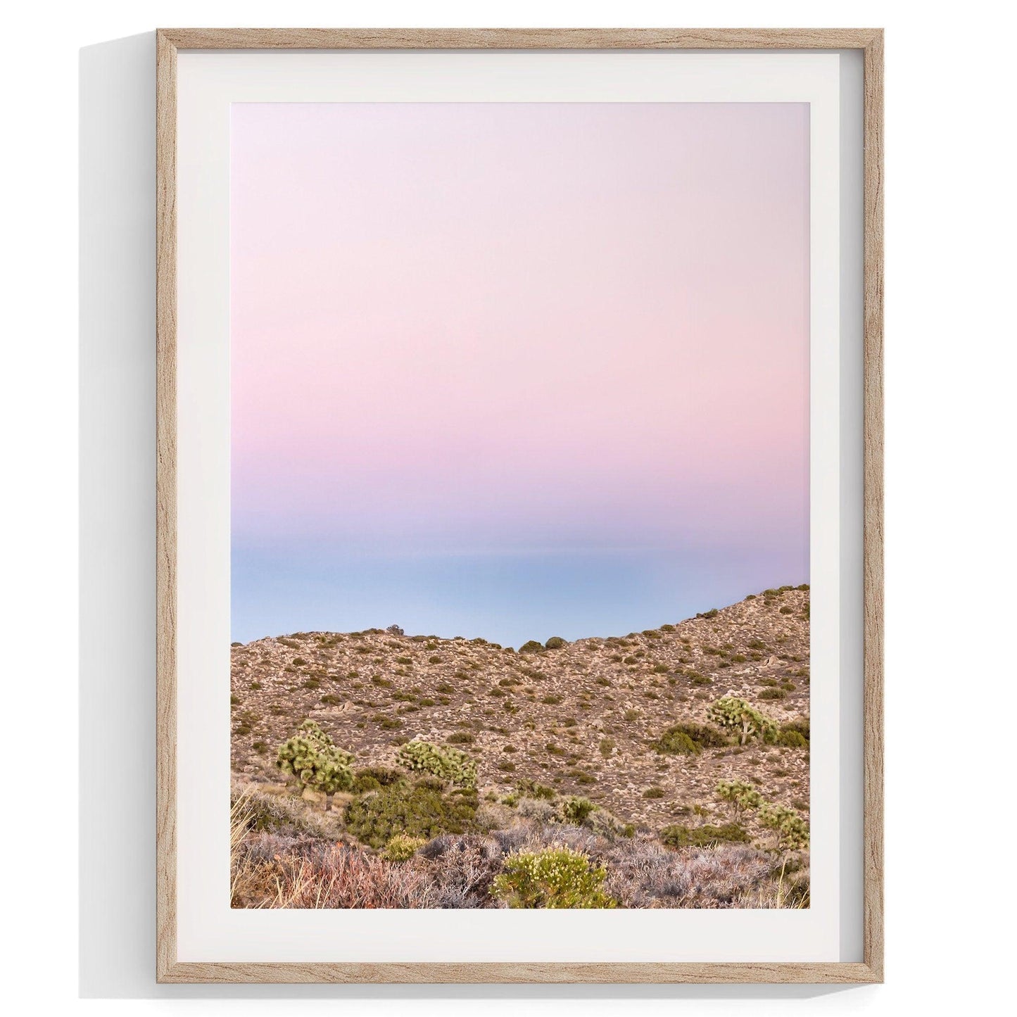Joshua Tree Set