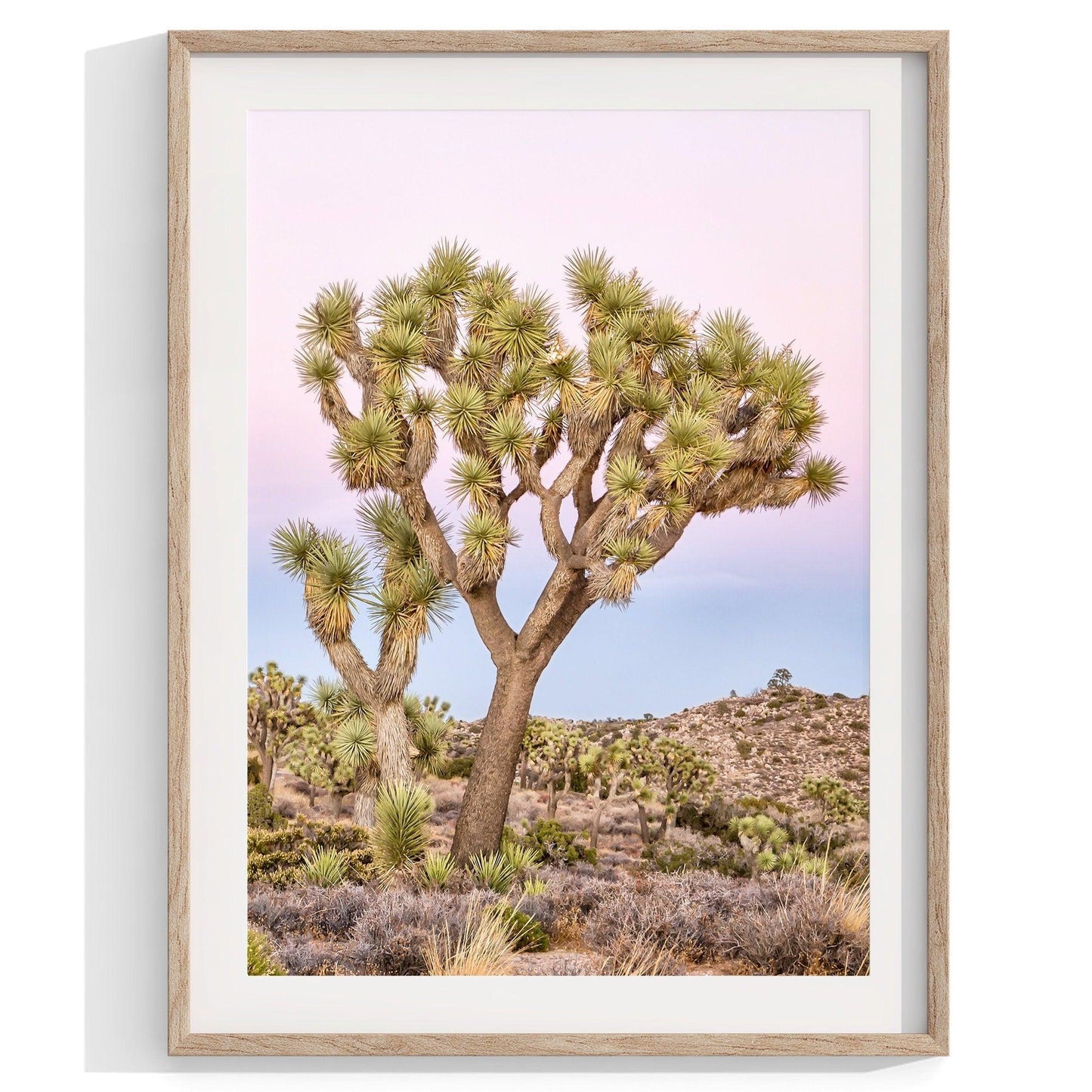 Joshua Tree Set