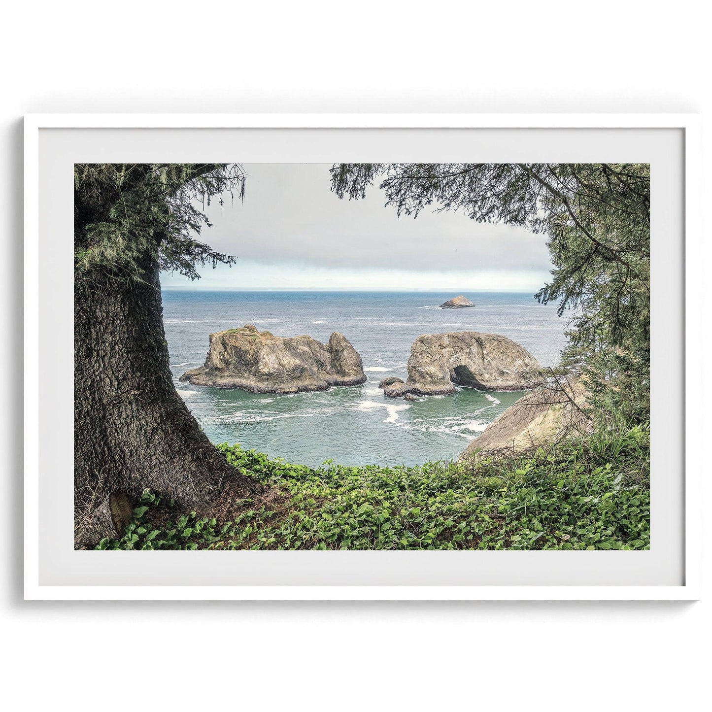 Coastal View