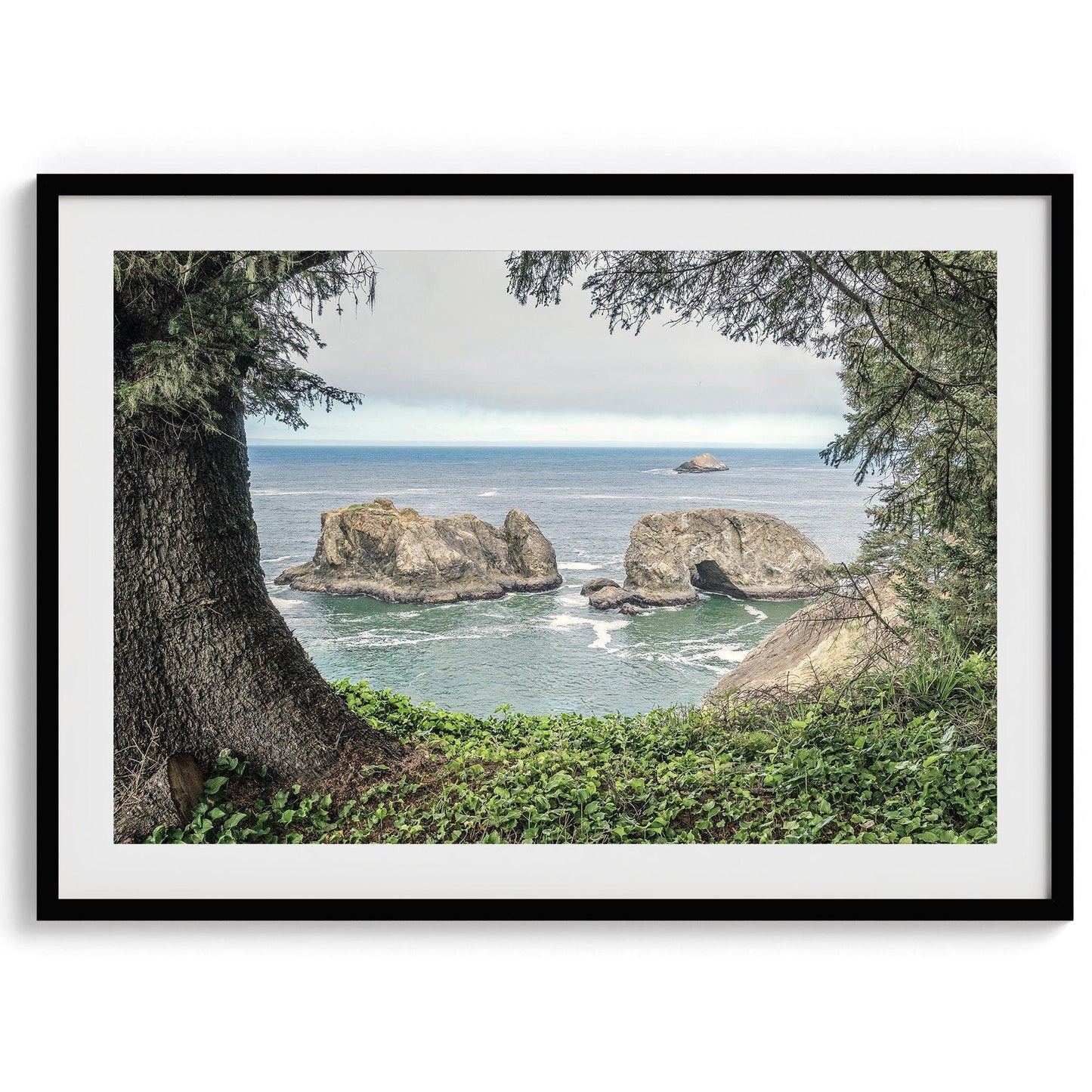 Coastal View