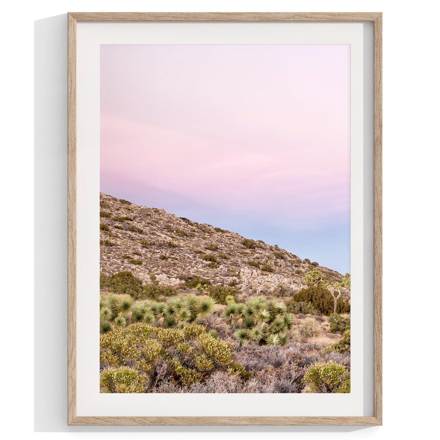 Joshua Tree Set