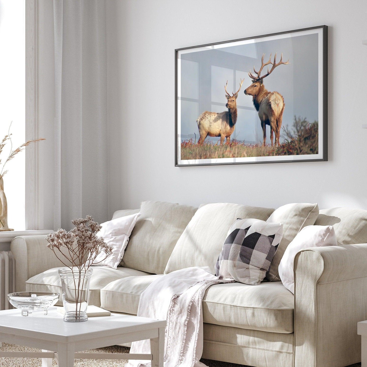 Coastal Elks