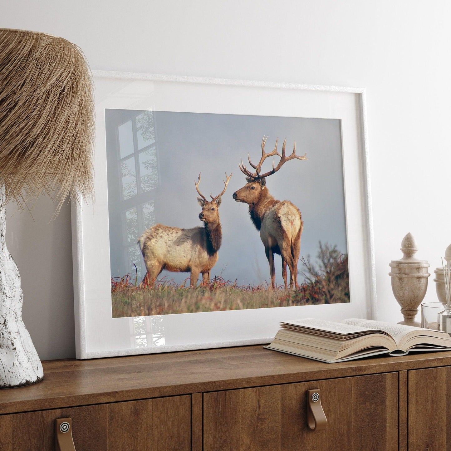 Coastal Elks