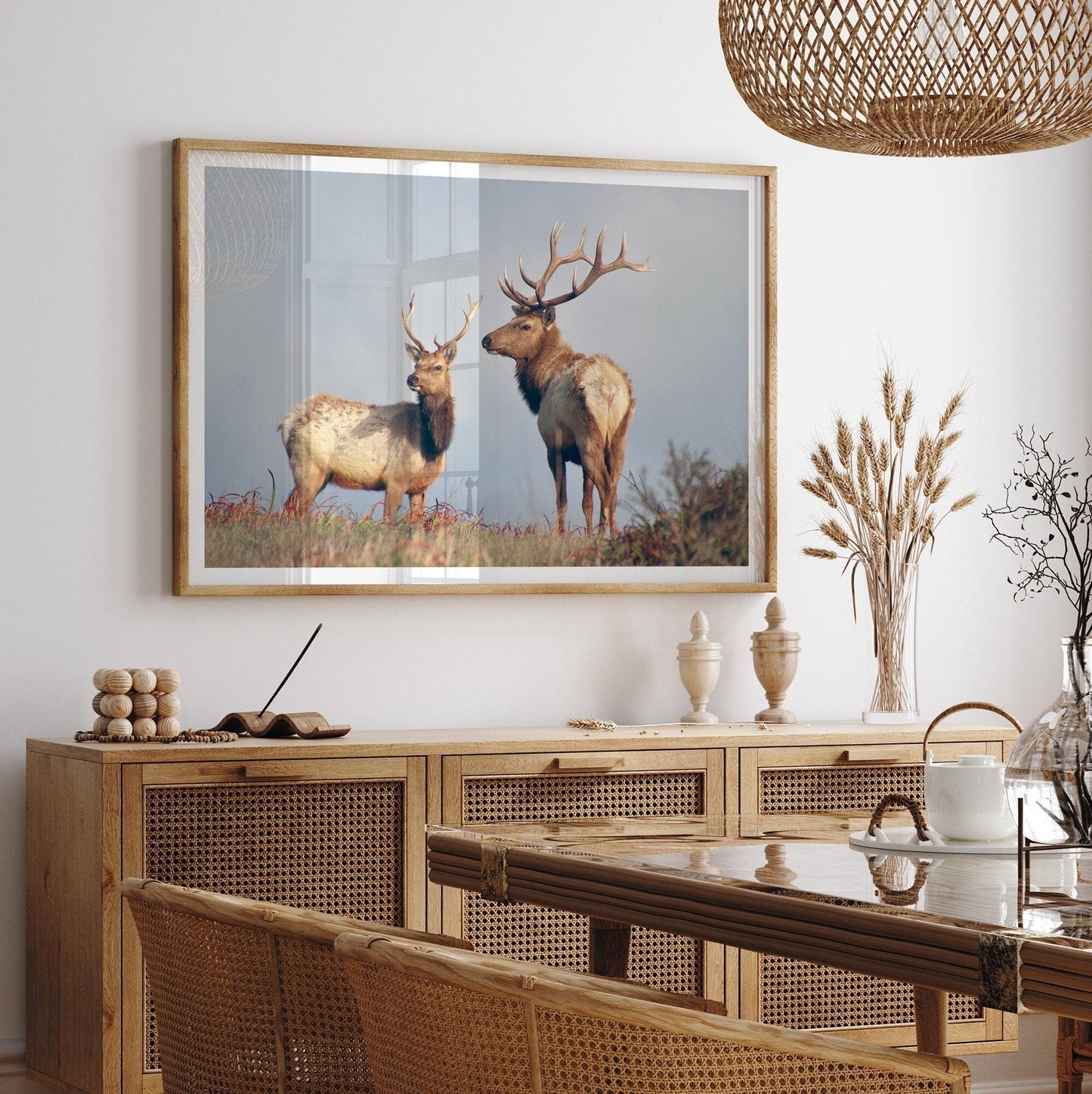 Coastal Elks