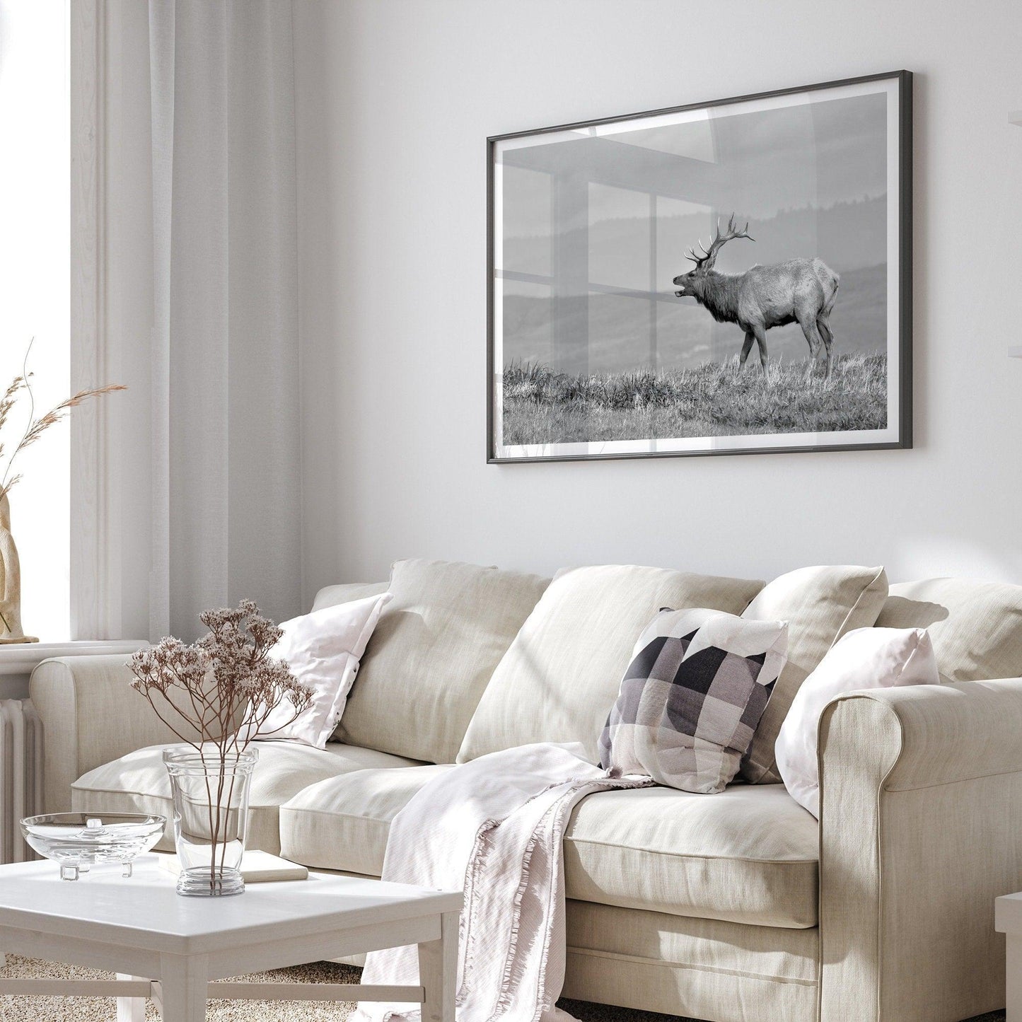 Costal Elk