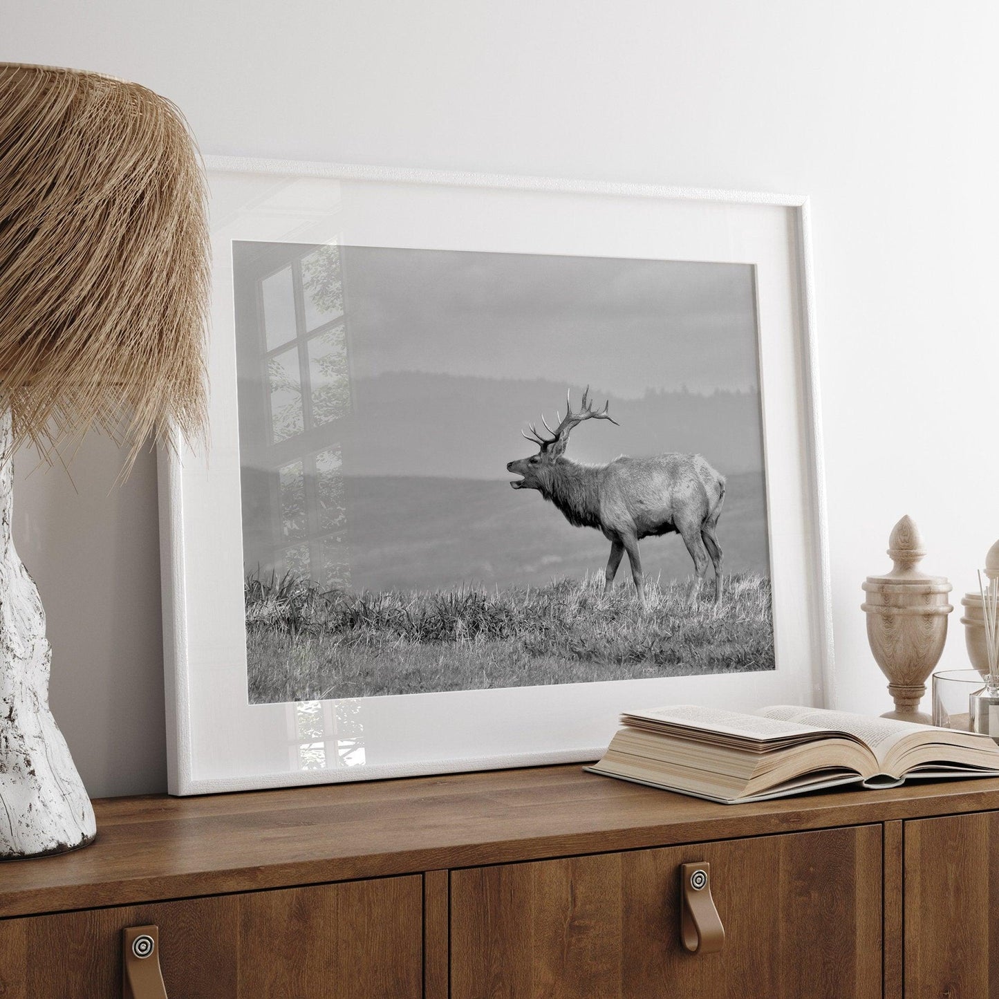 Costal Elk