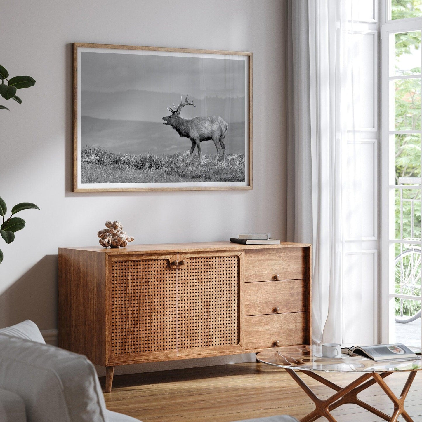 Costal Elk