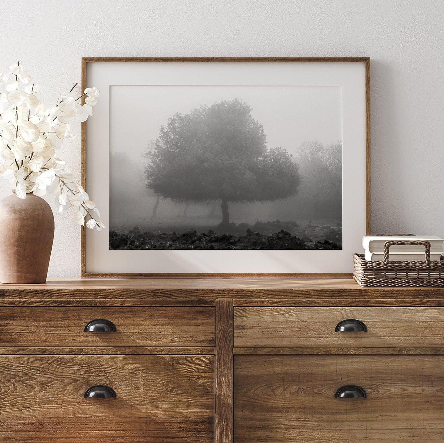 Foggy Forest