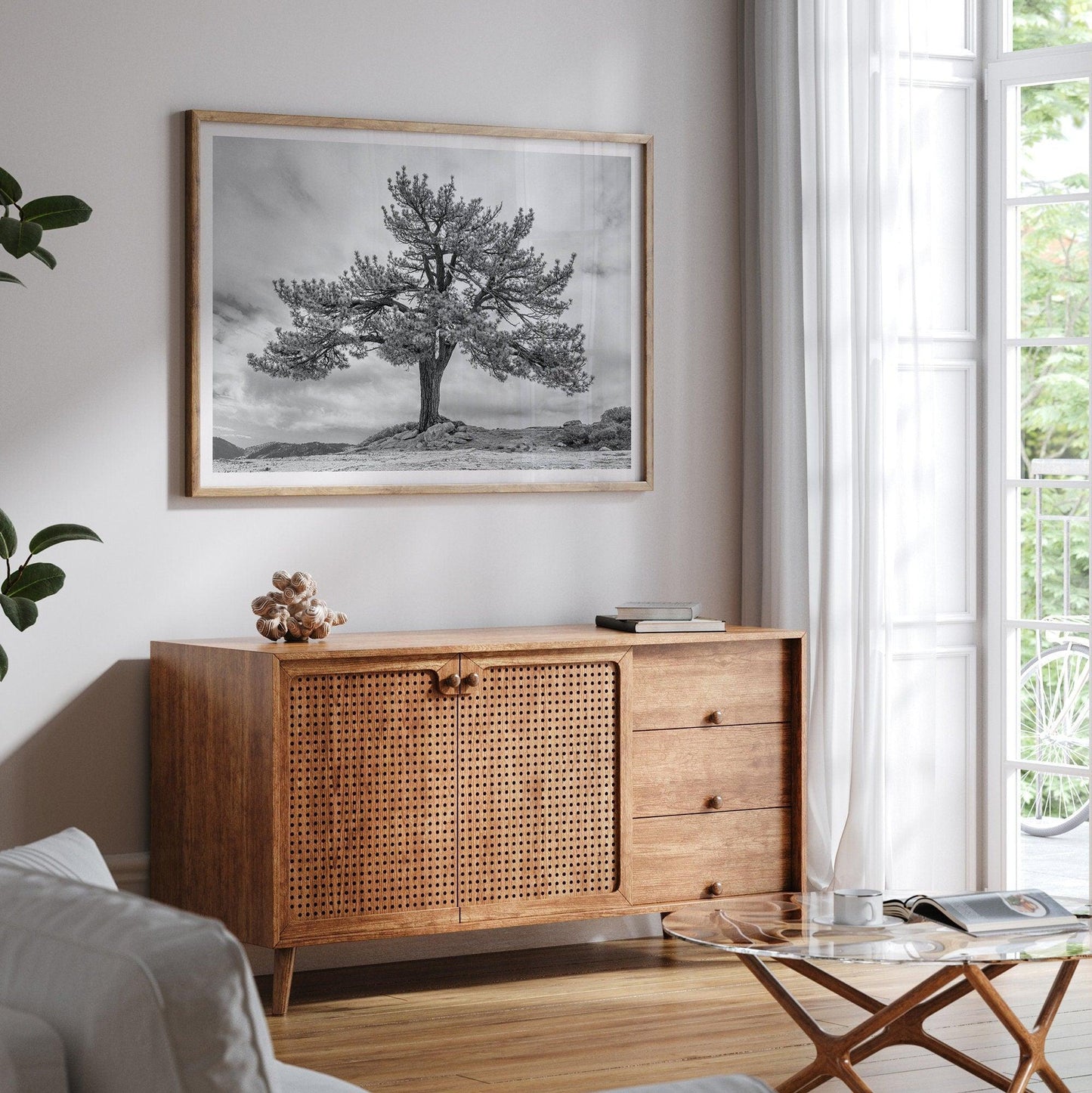Grandfather Tree