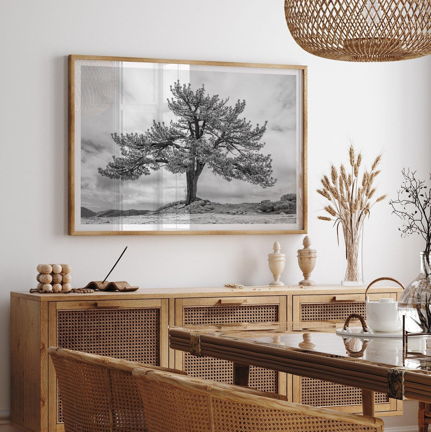 Grandfather Tree