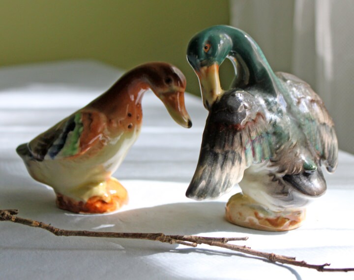 Salt and Pepper Frog Shakers.  Funky Shakers.