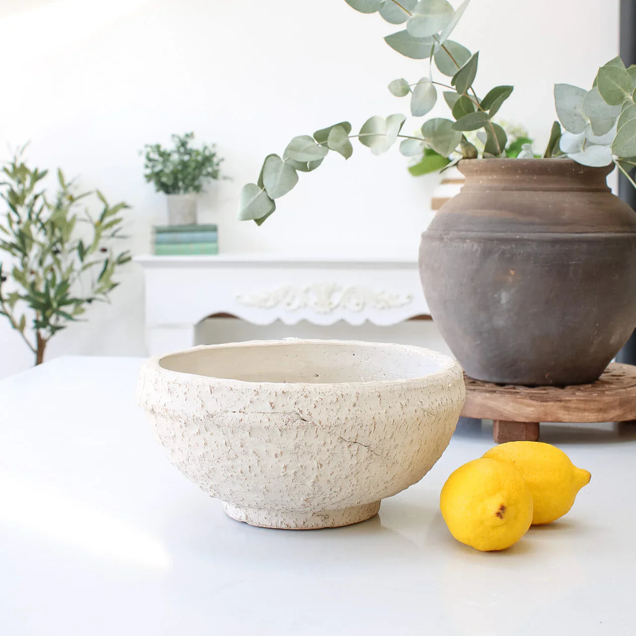 Whitewashed Textured Terra Cotta Decorative Bowl