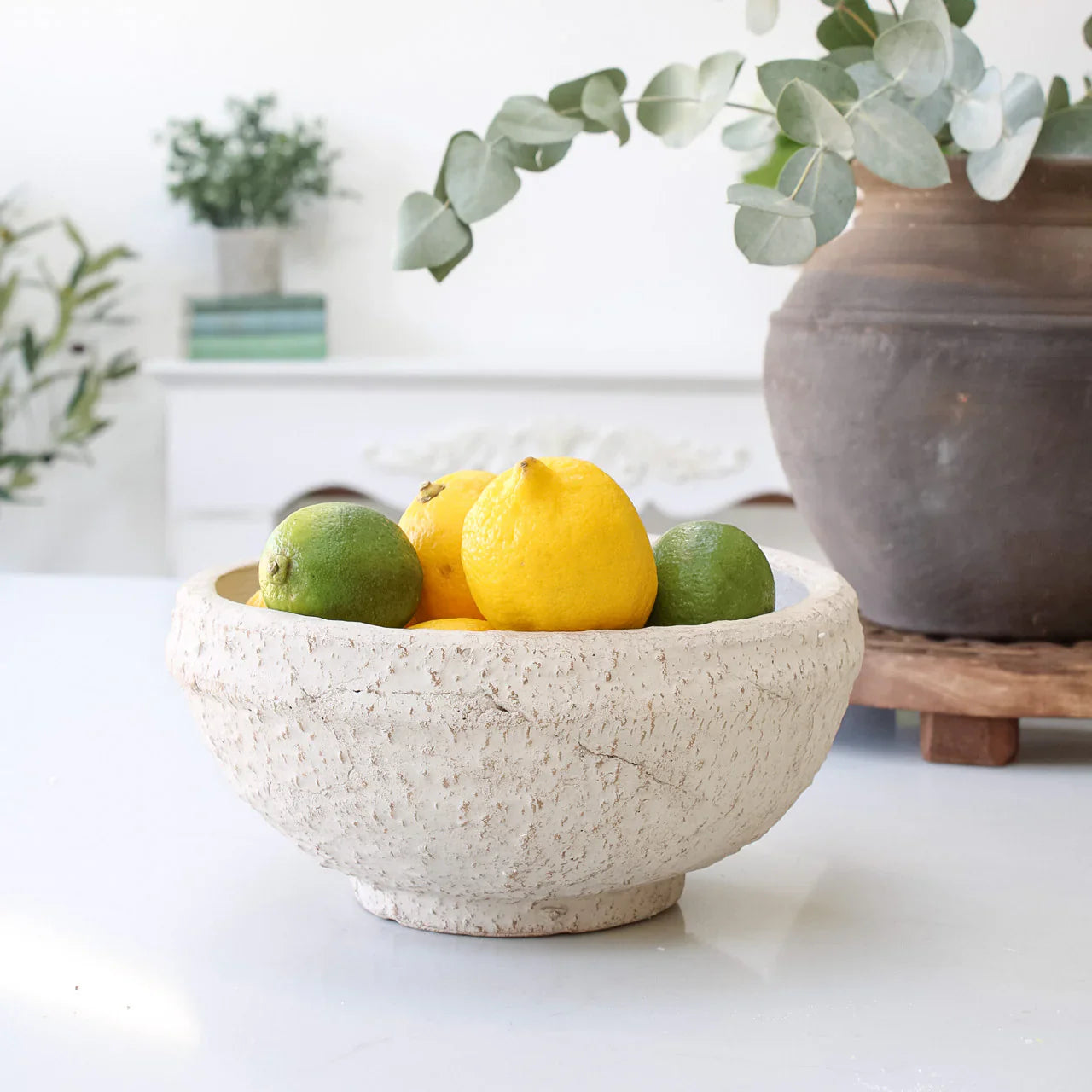 Whitewashed Textured Terra Cotta Decorative Bowl