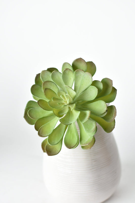 6" Faux Soft Aeonium Succulent Pick