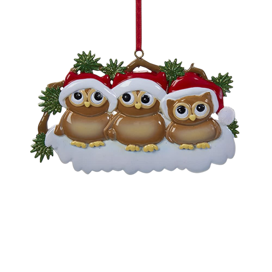 Owl Family of 3 Ornament For Personalization