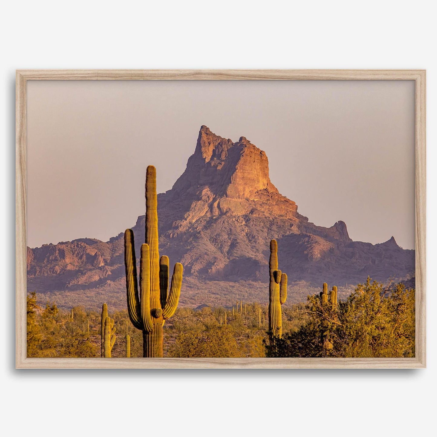 Cactus Ridge