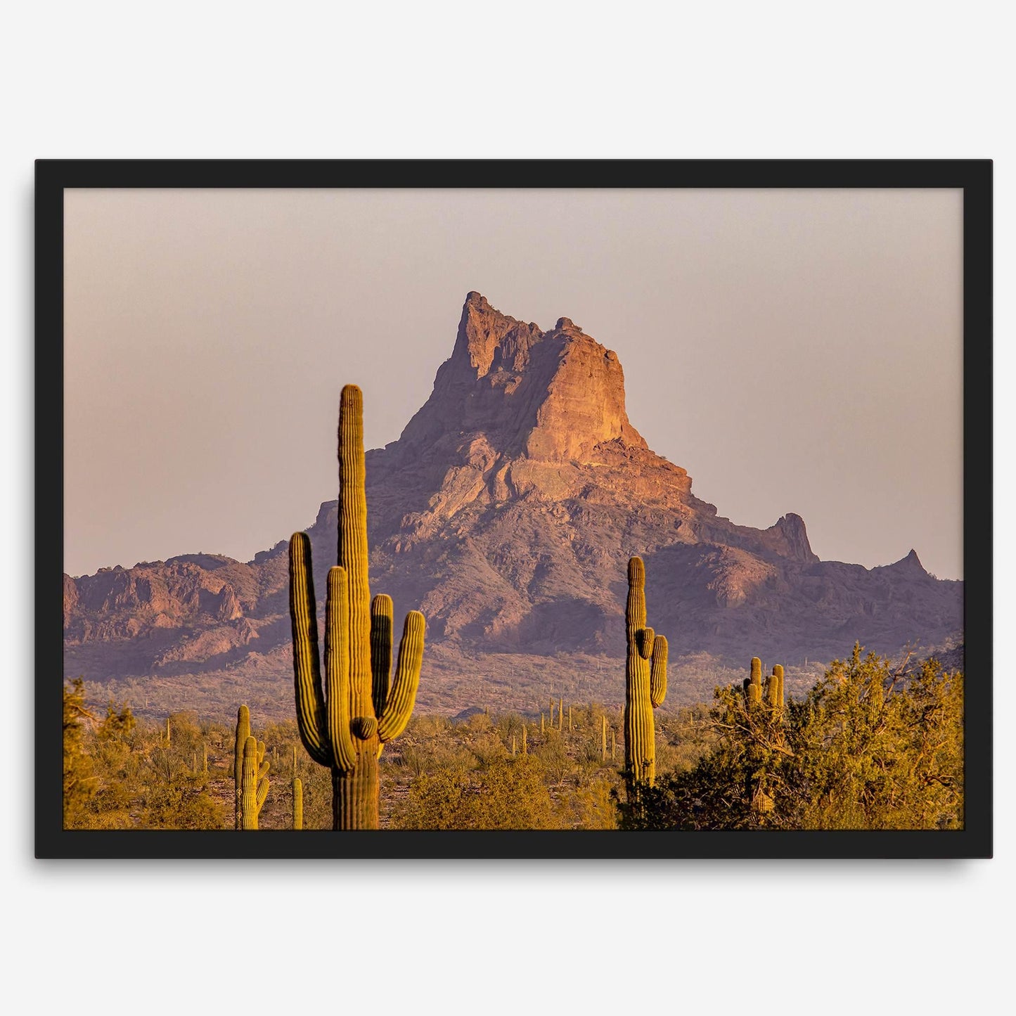 Cactus Ridge