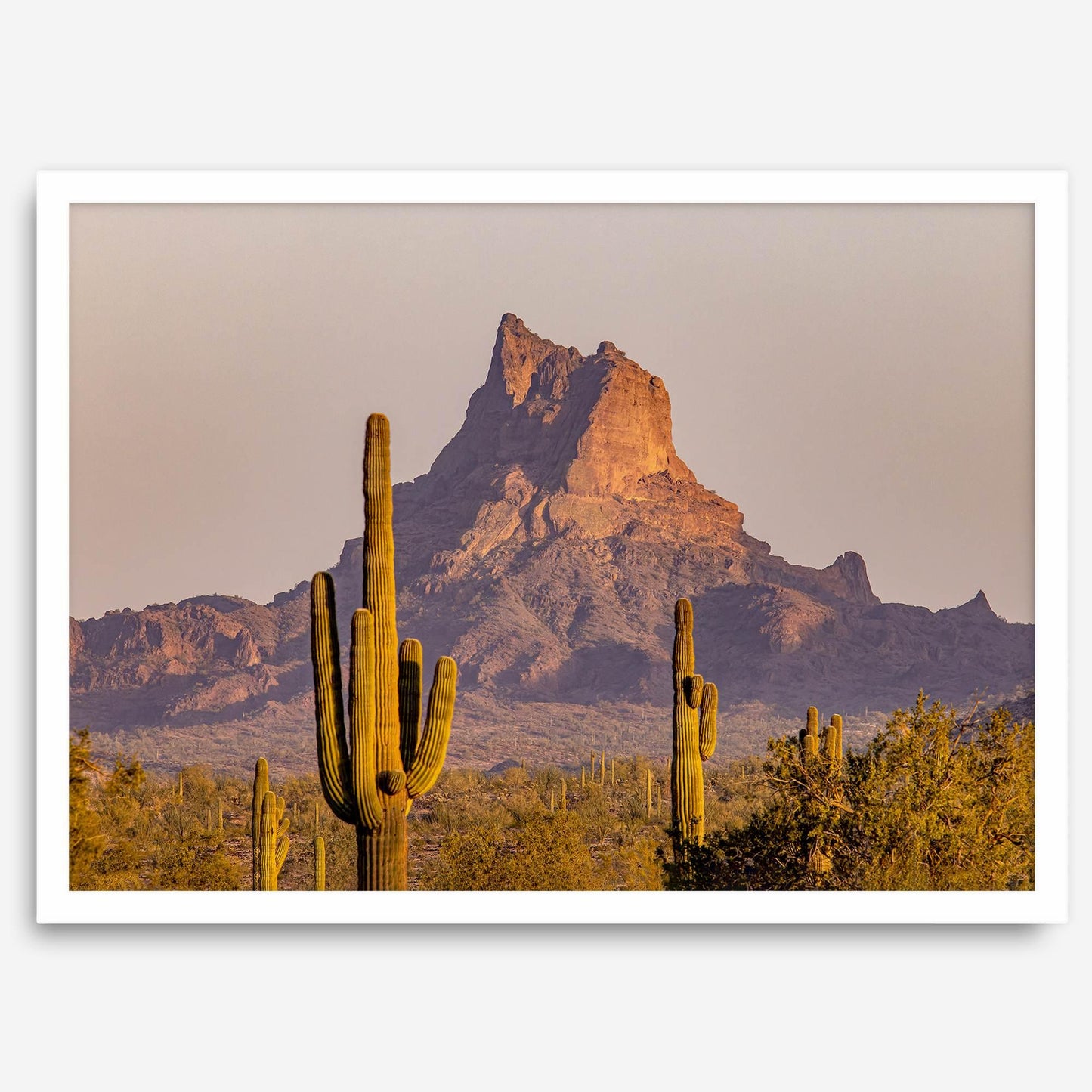 Cactus Ridge