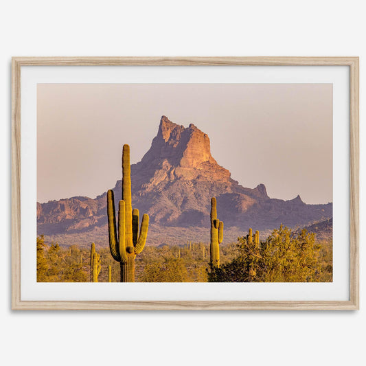 Cactus Ridge