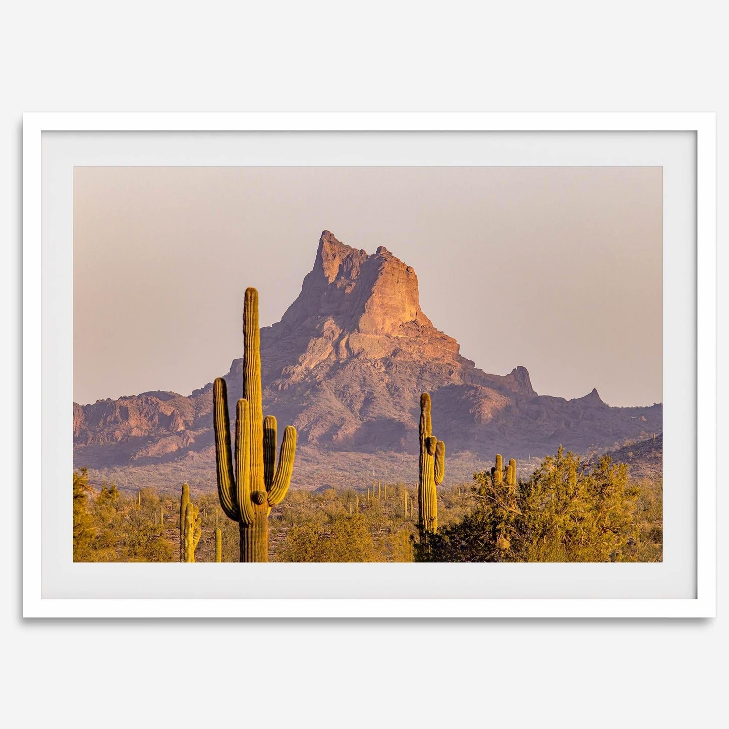 Cactus Ridge