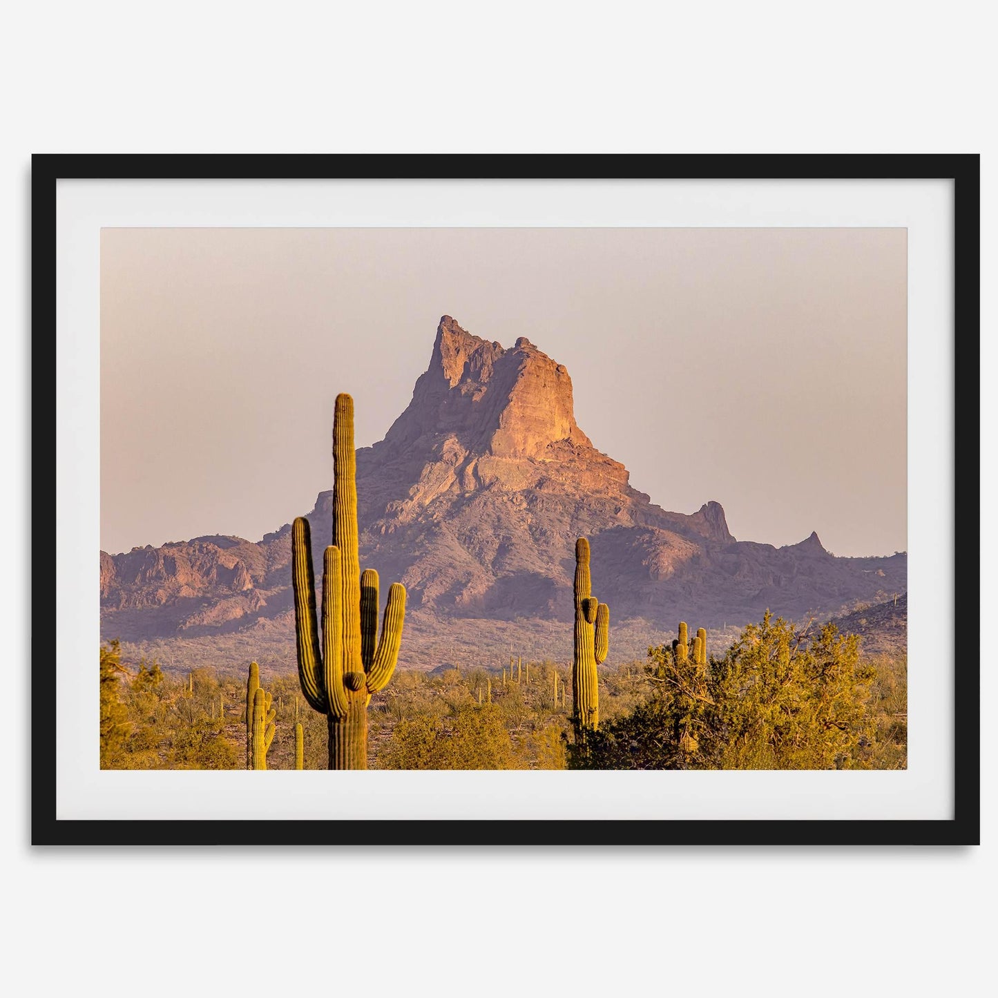 Cactus Ridge
