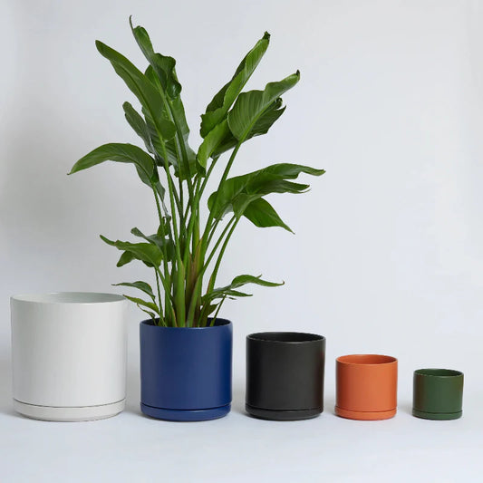 Solid Goods - Ceramic Cylinder with Saucer
