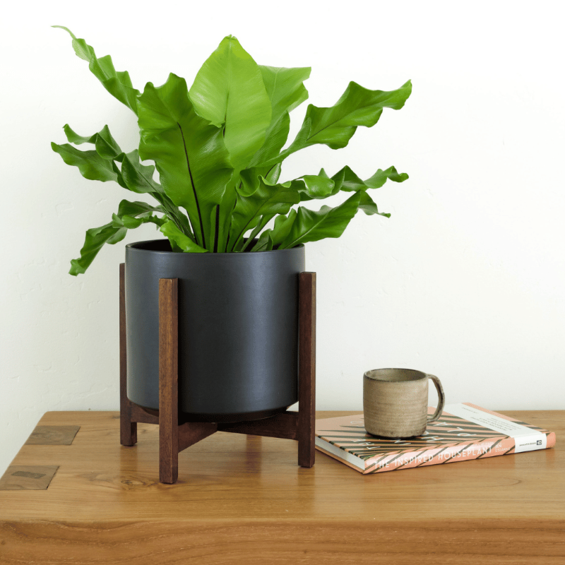 Solid Goods Ceramic Cylinder– With or Without Mahogany Stand