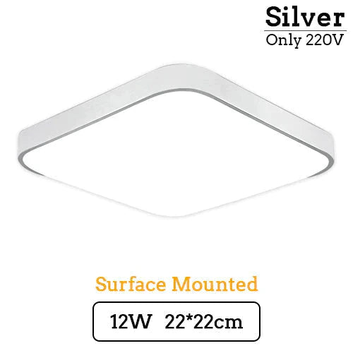 Catalina Elegance Meets Functionality: LED Ceiling Light for Home & Commercial Use