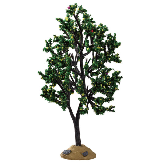Alder Tree - 5.25 inches