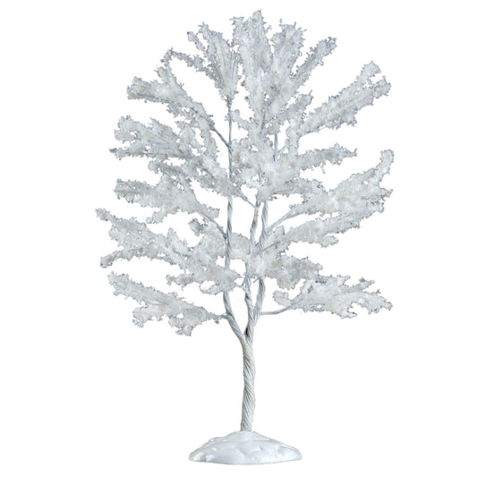 Snowy Black Walnut Tree