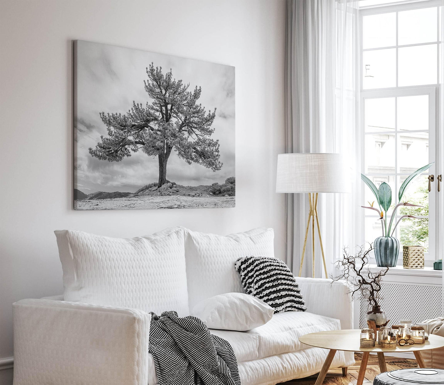 Grandfather Tree Canvas