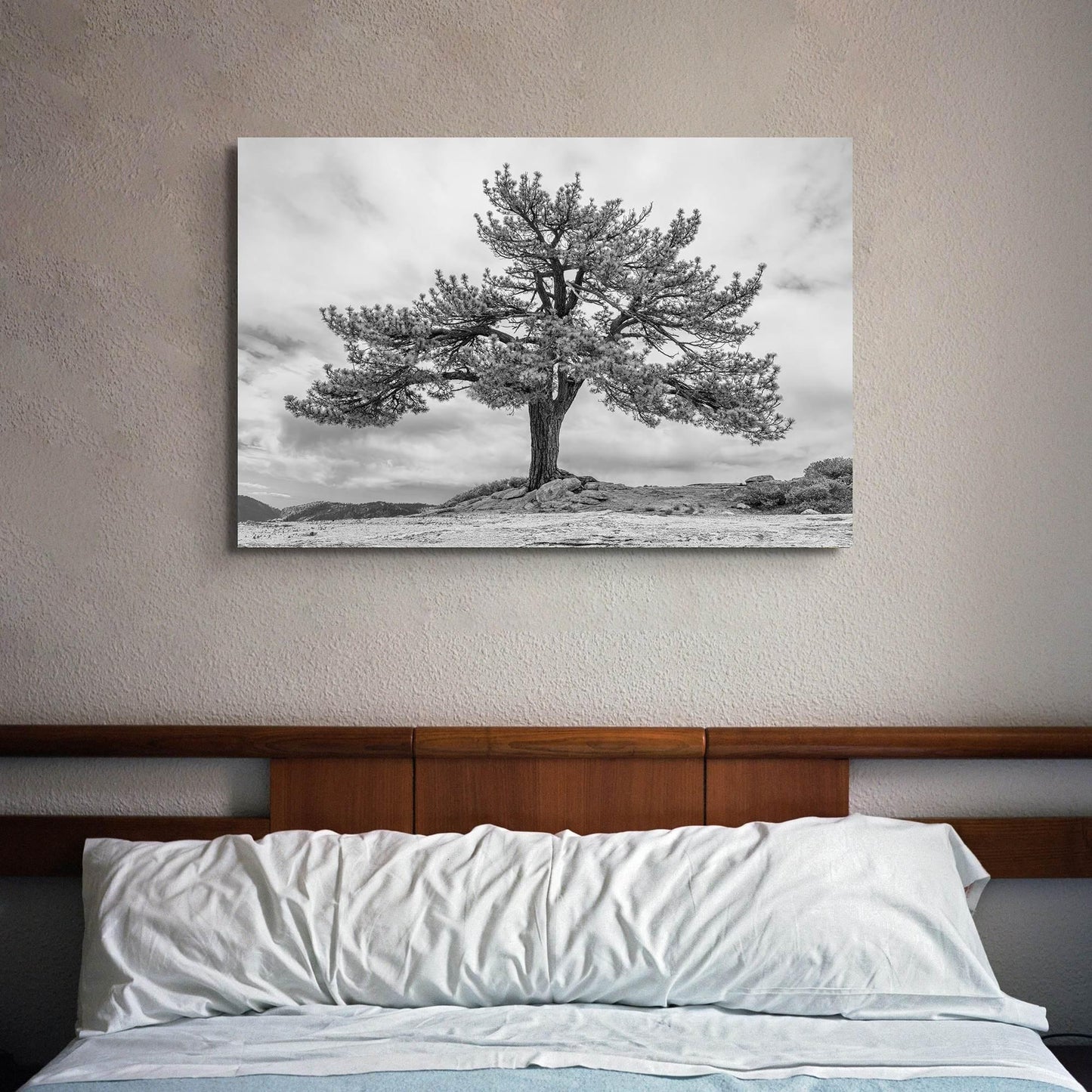 Grandfather Tree Canvas