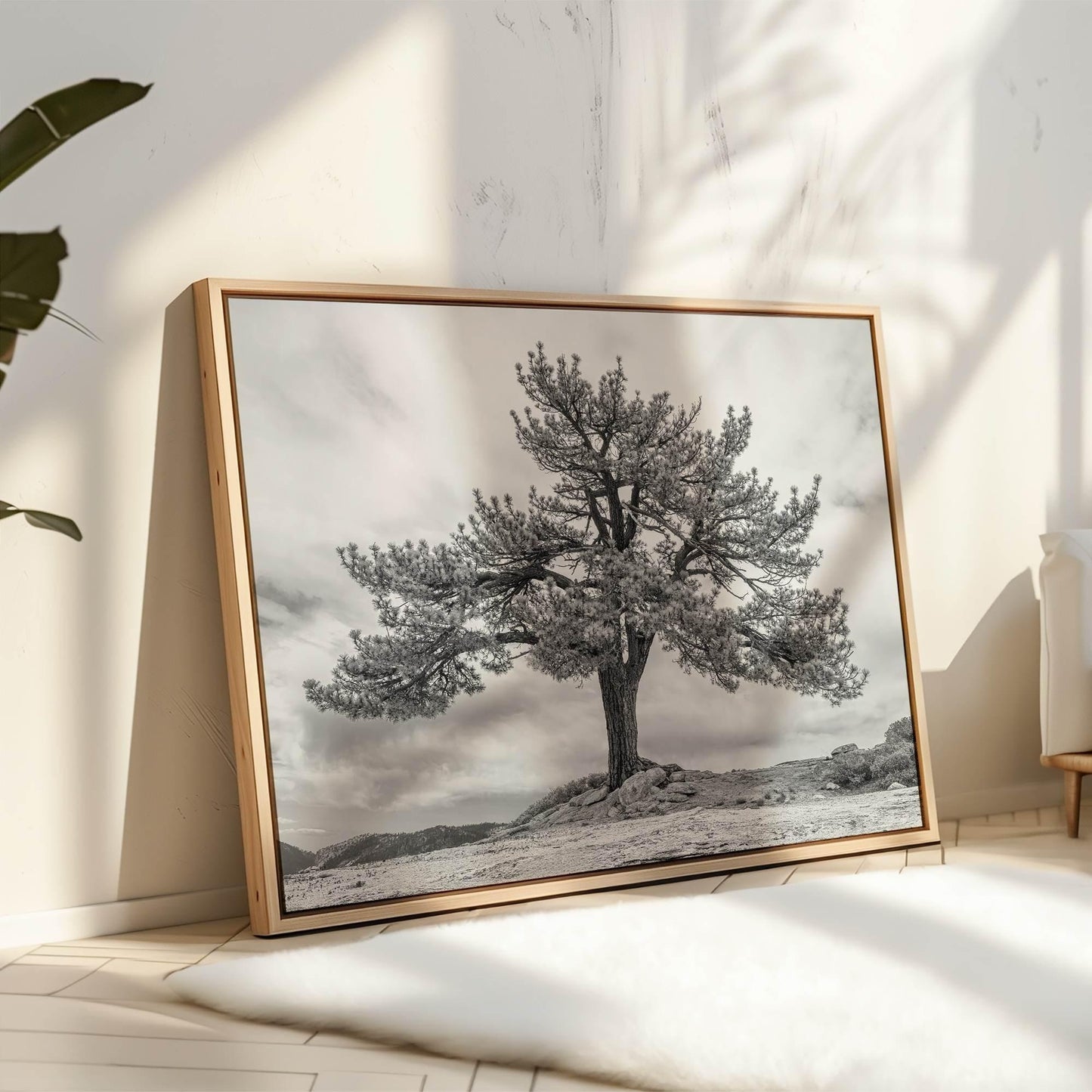 Grandfather Tree Canvas
