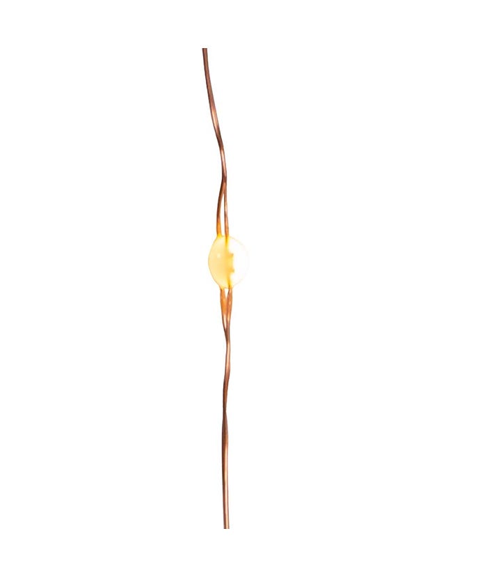 50-Light Battery-Operated Warm White Superbright LED Light Set